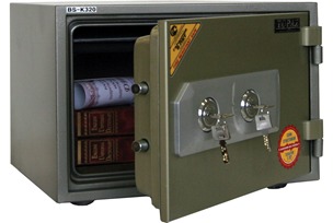 BSK-310